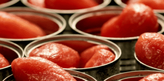 Pomodoro da industria, firmato accordo per campagna 2026 nel Centro-Sud pomodoro industria accordo 2026