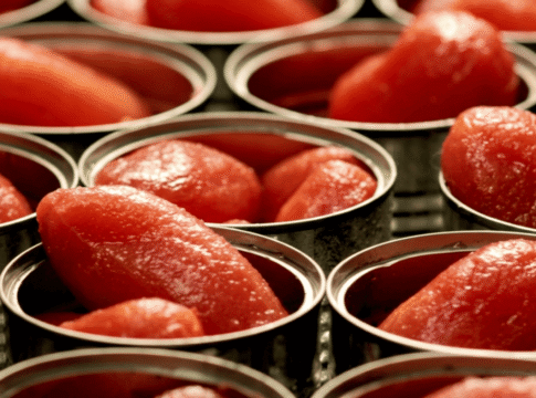 Pomodoro da industria, firmato accordo per campagna 2026 nel Centro-Sud pomodoro industria accordo 2026