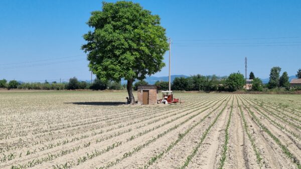 Resilienza idrica, perché non basta irrigare meglio