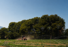 Carbon farming, la leva per un’agricoltura resiliente carbon farming