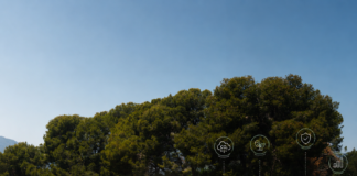 Carbon farming, la leva per un’agricoltura resiliente carbon farming