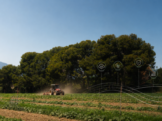 Carbon farming, la leva per un’agricoltura resiliente