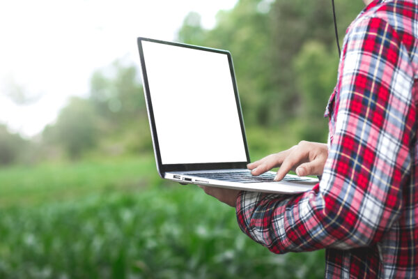 Bando Isi, il 24 giugno scatta il click day per le aziende agricole