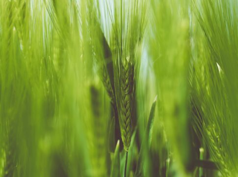 Greenwashing, dal 27 settembre stop ai claim ambientali senza certificazione