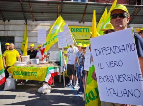 Olio evo: agricoltori in piazza contro le truffe
