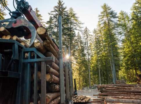 Foreste, il Veneto entra nel Cluster Italia Foresta Legno