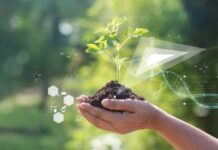 Tea, il Parlamento Ue apre l’era delle nuove tecniche genomiche