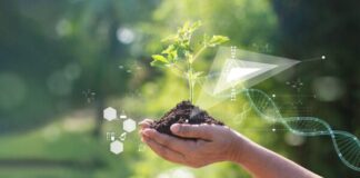 Tea, il Parlamento Ue apre l’era delle nuove tecniche genomiche