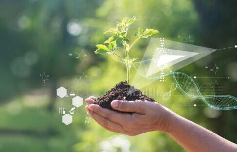 Tea, il Parlamento Ue apre l’era delle nuove tecniche genomiche