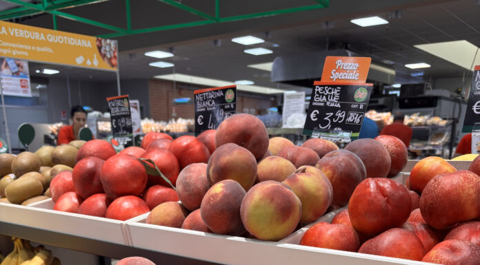 Apofruit, estate da record per il biologico: Canova e ViviToscano crescono a doppia cifra