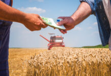 Conti correnti sotto controllo anche in agricoltura