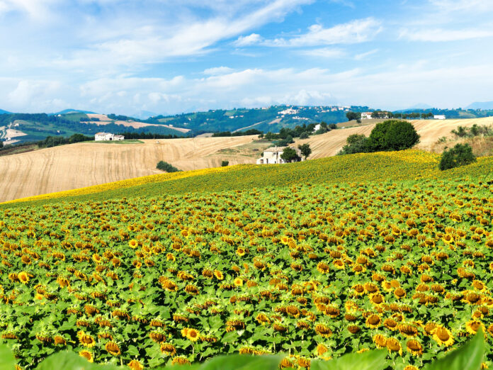 campagna Marche