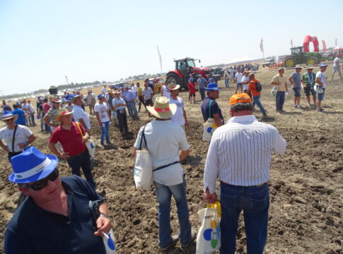 Agrilab, innovazione e prove in campo per le estensive