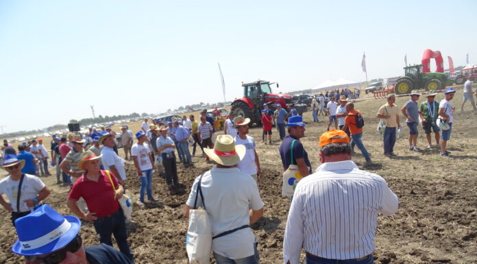 Agrilab, innovazione e prove in campo per le estensive