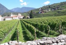 Crisi idrica, in Alto Adige pacchetto di misure anti-spreco