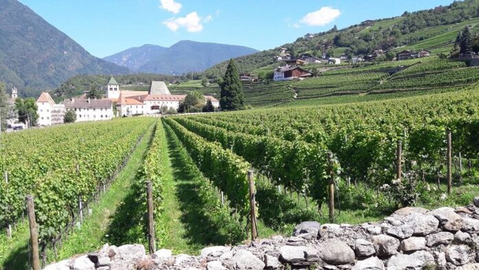 Alto Adige