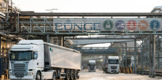 Bunge raddoppia sulla soia italiana: 4,4 milioni per Porto Corsini bunge