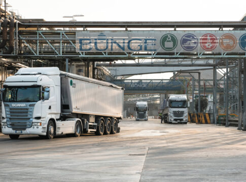 bunge
