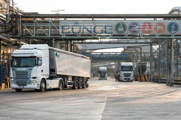 Bunge raddoppia sulla soia italiana: 4,4 milioni per Porto Corsini
