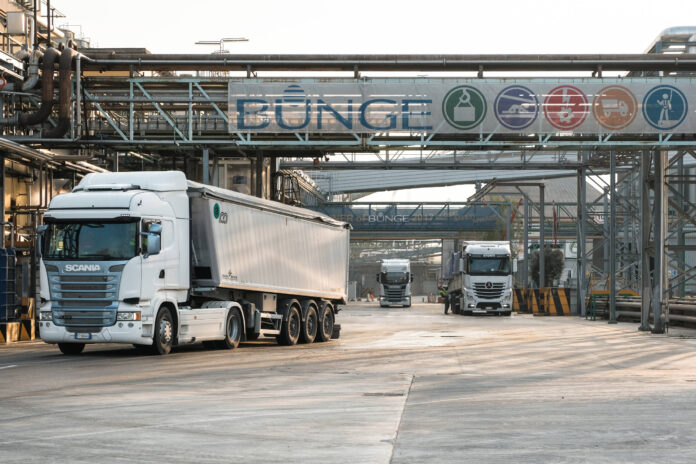 bunge