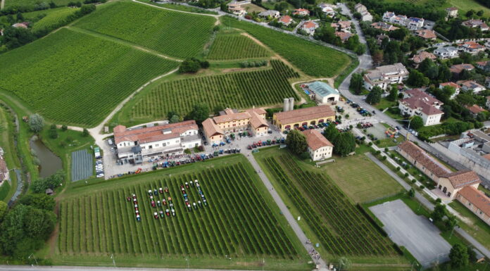 Scrivere il futuro del vino italiano