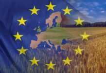 Agrifish, zootecnia e ricambio generazionale aprono il semestre Ue