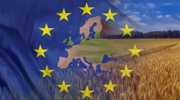 Agrifish, zootecnia e ricambio generazionale aprono il semestre Ue