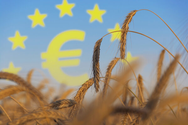 Corsa agli anticipi: subito in arrivo la Pac 2026