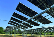 Agrivoltaico, la ricerca che indica la strada