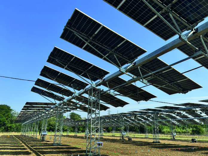 Gherardi_agrivoltaico_1