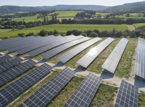 Un nuovo orizzonte per il fotovoltaico agricolo