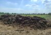 Agricoltura rigenerativa, nasce un’alleanza per rafforzare il fronte italiano alleanza agricoltura rigenerativa