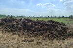 alleanza agricoltura rigenerativa