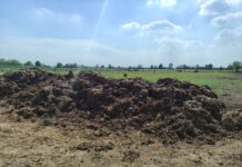 Agricoltura rigenerativa, nasce un’alleanza per rafforzare il fronte italiano alleanza agricoltura rigenerativa