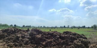 alleanza agricoltura rigenerativa
