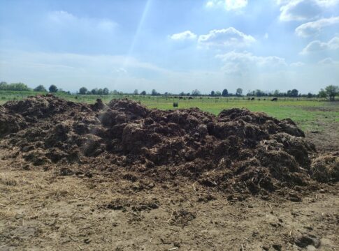 Agricoltura rigenerativa, nasce un’alleanza per rafforzare il fronte italiano alleanza agricoltura rigenerativa