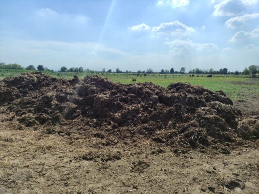 Agricoltura rigenerativa, nasce un’alleanza per rafforzare il fronte italiano