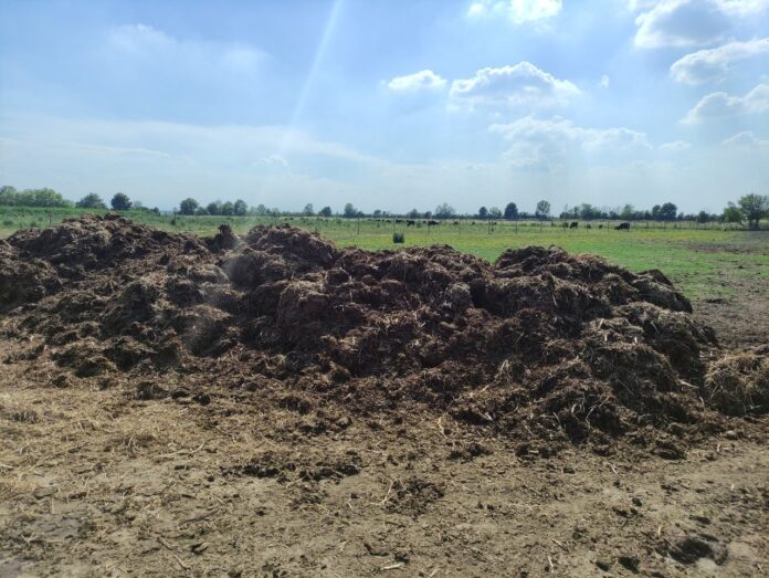 alleanza agricoltura rigenerativa alleanza agricoltura rigenerativa