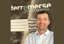 Terremerse