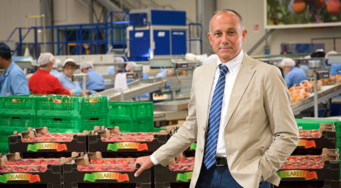 Apofruit Italia rinnova il Cda: Mirco Zanotti confermato presidente
