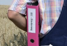 La Pac che verrà: i pagamenti diretti 2028-34