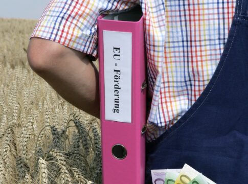 La Pac che verrà: i pagamenti diretti 2028-34