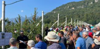 Dal meleto al vigneto, scatta l’estate “tecnica” della Fondazione Mach