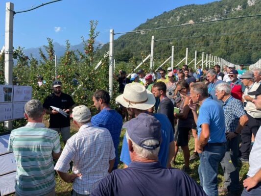 Dal meleto al vigneto, scatta l’estate “tecnica” della Fondazione Mach