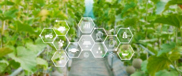 Agrilogia, nasce in Trentino il nuovo ecosistema per l’innovazione digitale