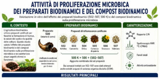 La ricerca conferma: il microbioma umificante del suolo potenziato dal compost biodinamico