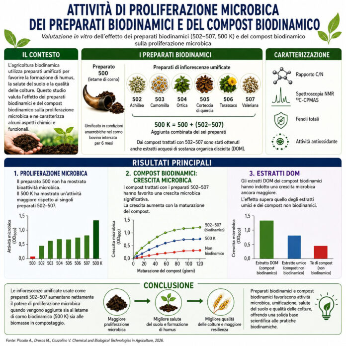 biodinamica 1) Ricerca preparati da cumulo e compost 500x500