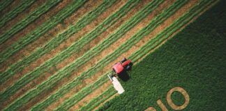 Bio, boom di import extra Ue: Coldiretti chiede l’obbligo di origine in etichetta