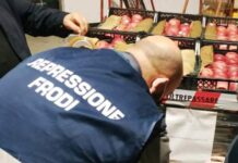 Icqrf, quarant’anni di vigilanza: dalla repressione delle frodi all’intelligenza artificiale