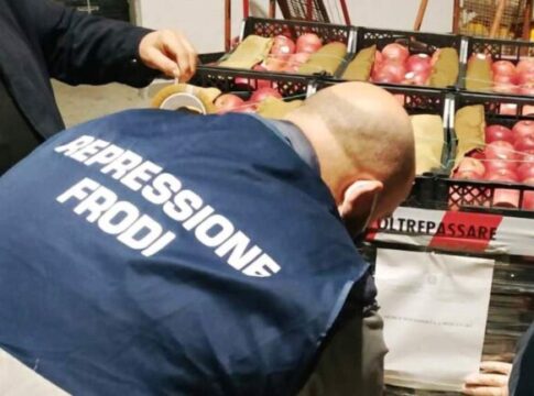 Icqrf, quarant’anni di vigilanza: dalla repressione delle frodi all’intelligenza artificiale